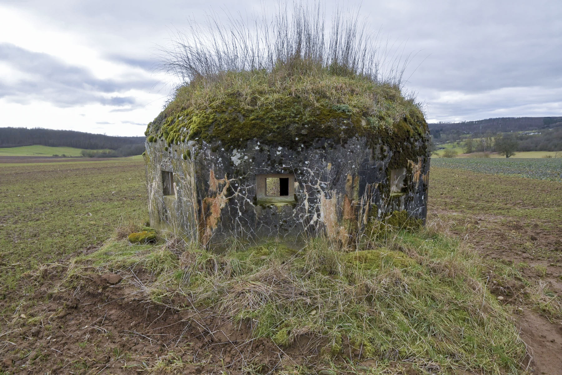 Ligne Maginot - ANDELSBERG 3 - (Blockhaus pour arme infanterie) -  - Ludovic KNAPP