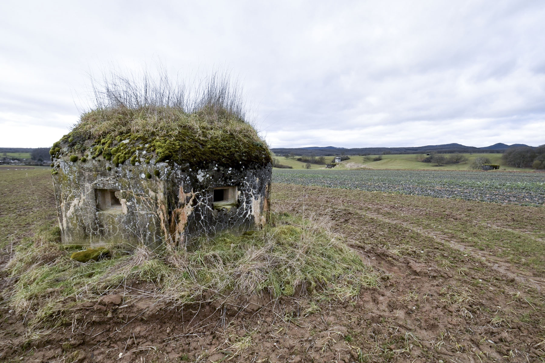 Ligne Maginot - ANDELSBERG 3 - (Blockhaus pour arme infanterie) -  - Ludovic KNAPP