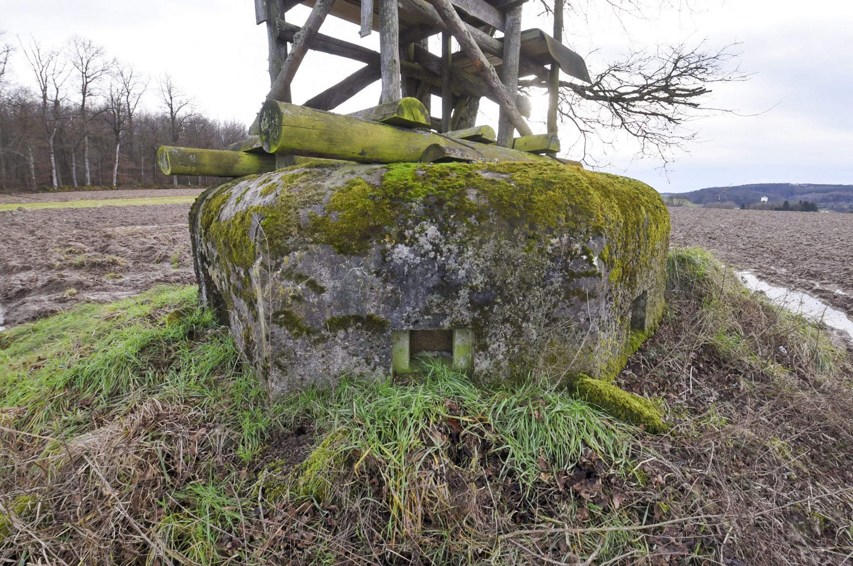 Ligne Maginot - LIES 2 - (Blockhaus pour arme infanterie) -  - Ludovic KNAPP