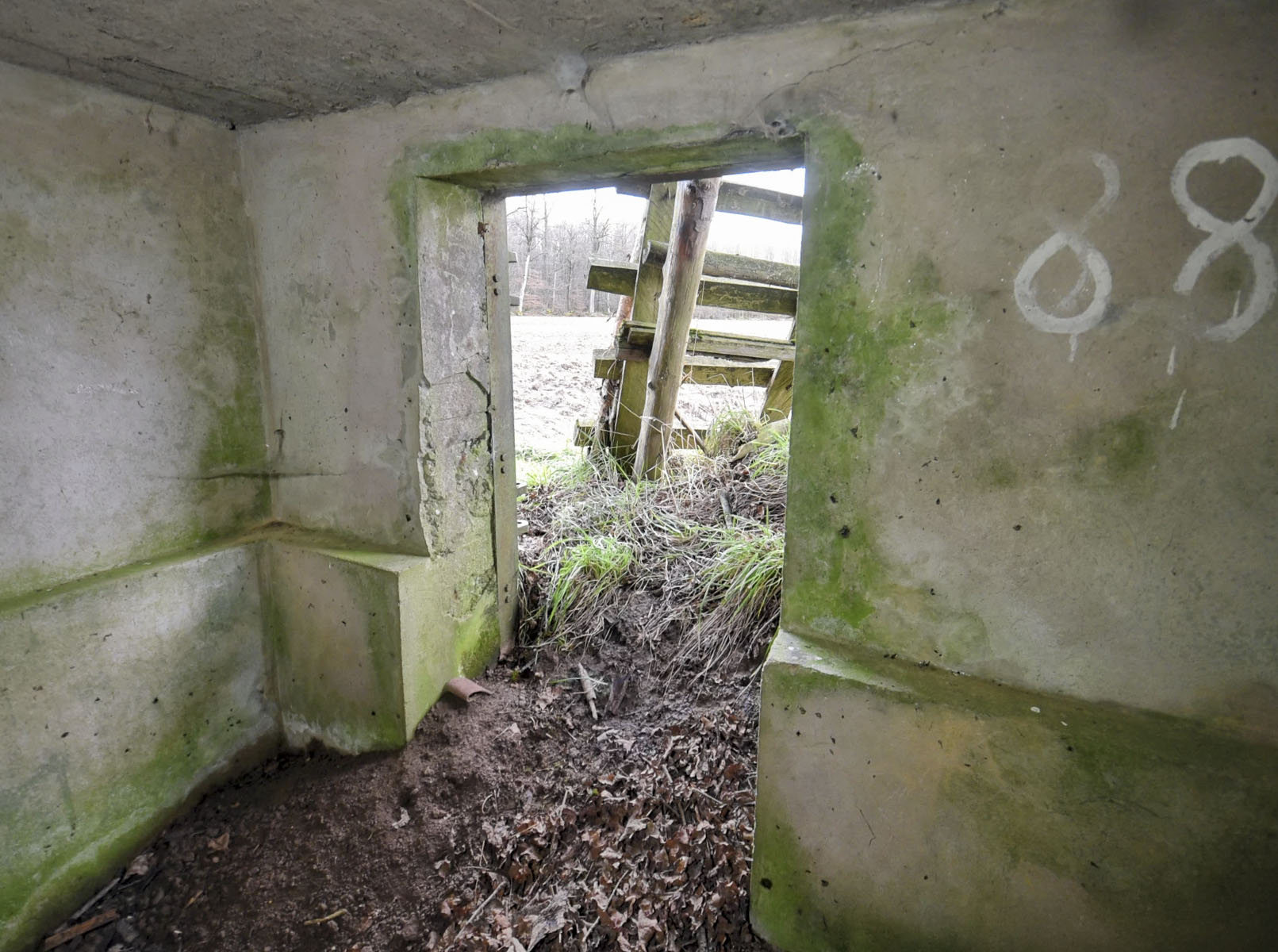 Ligne Maginot - LIES 2 - (Blockhaus pour arme infanterie) -  - Ludovic KNAPP