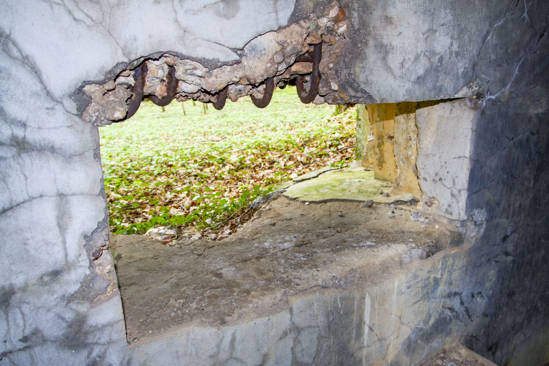 Ligne Maginot - CB302 - KANFENER BUSCH 6 - (Blockhaus pour canon) -  - Michel Teiten