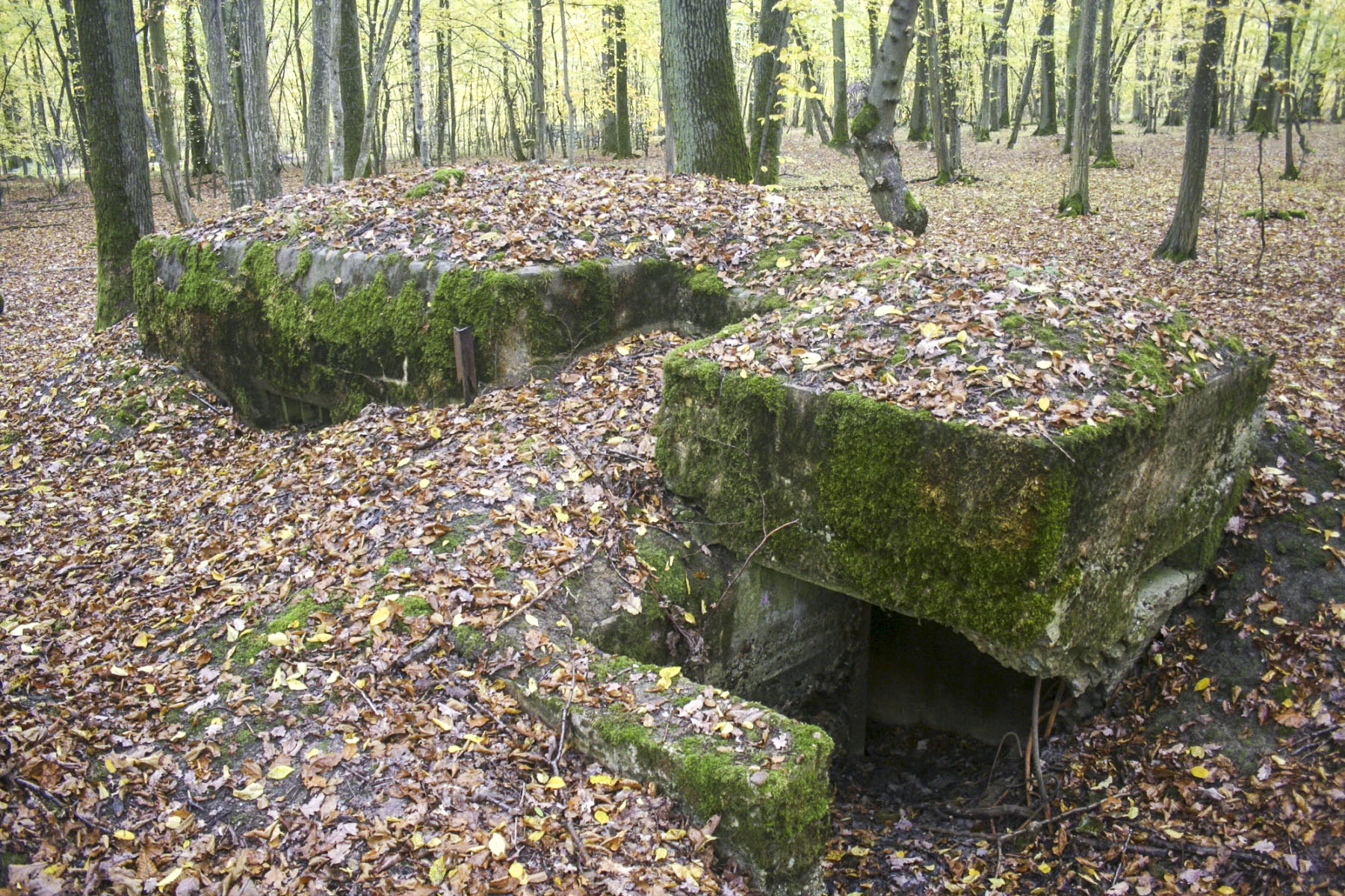 Ligne Maginot - CB81-C - MEIEREI 1 - (Blockhaus pour arme infanterie) -  - Michel Teiten