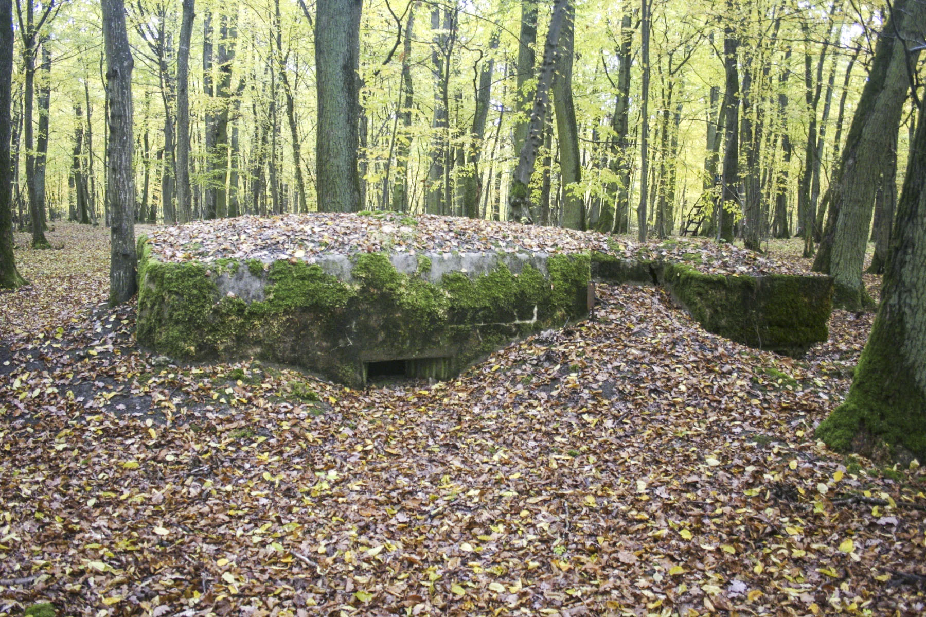Ligne Maginot - CB81-C - MEIEREI 1 - (Blockhaus pour arme infanterie) -  - Michel Teiten