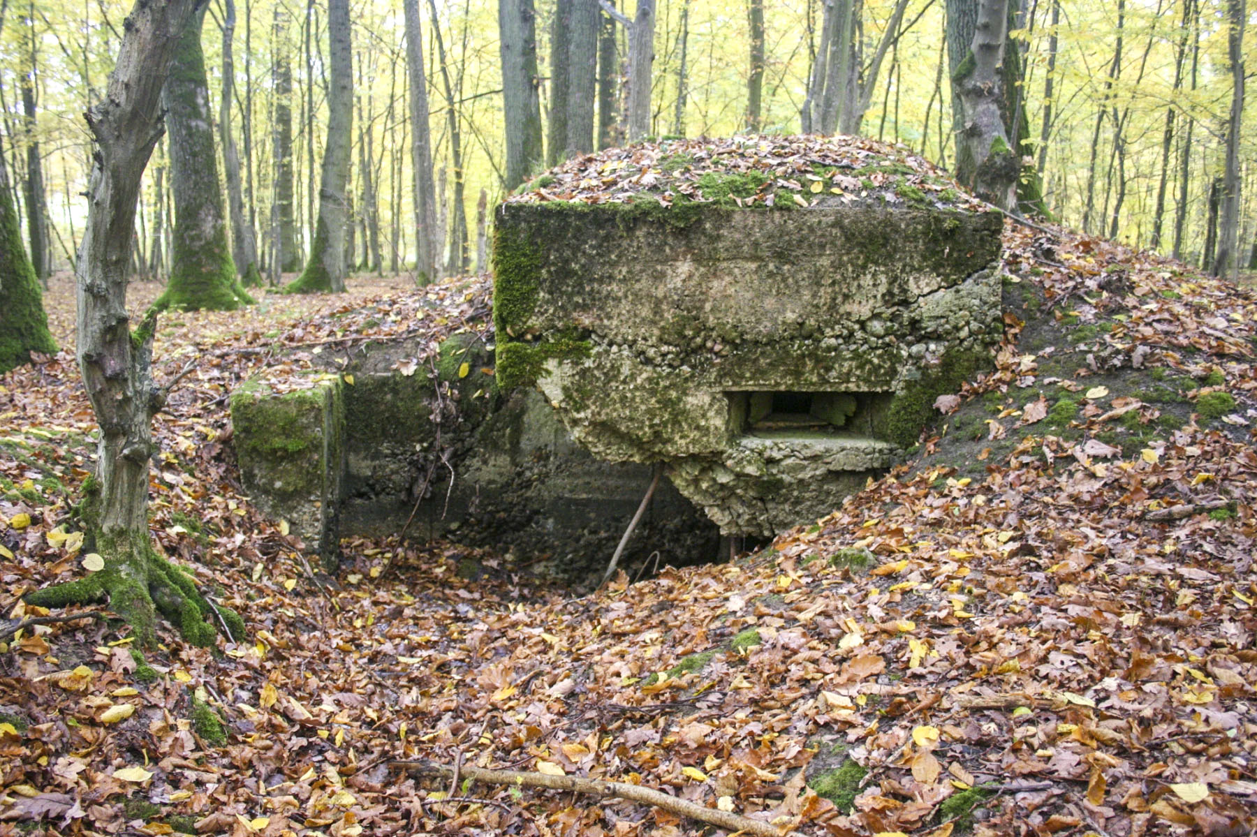 Ligne Maginot - CB81-C - MEIEREI 1 - (Blockhaus pour arme infanterie) -  - Michel Teiten