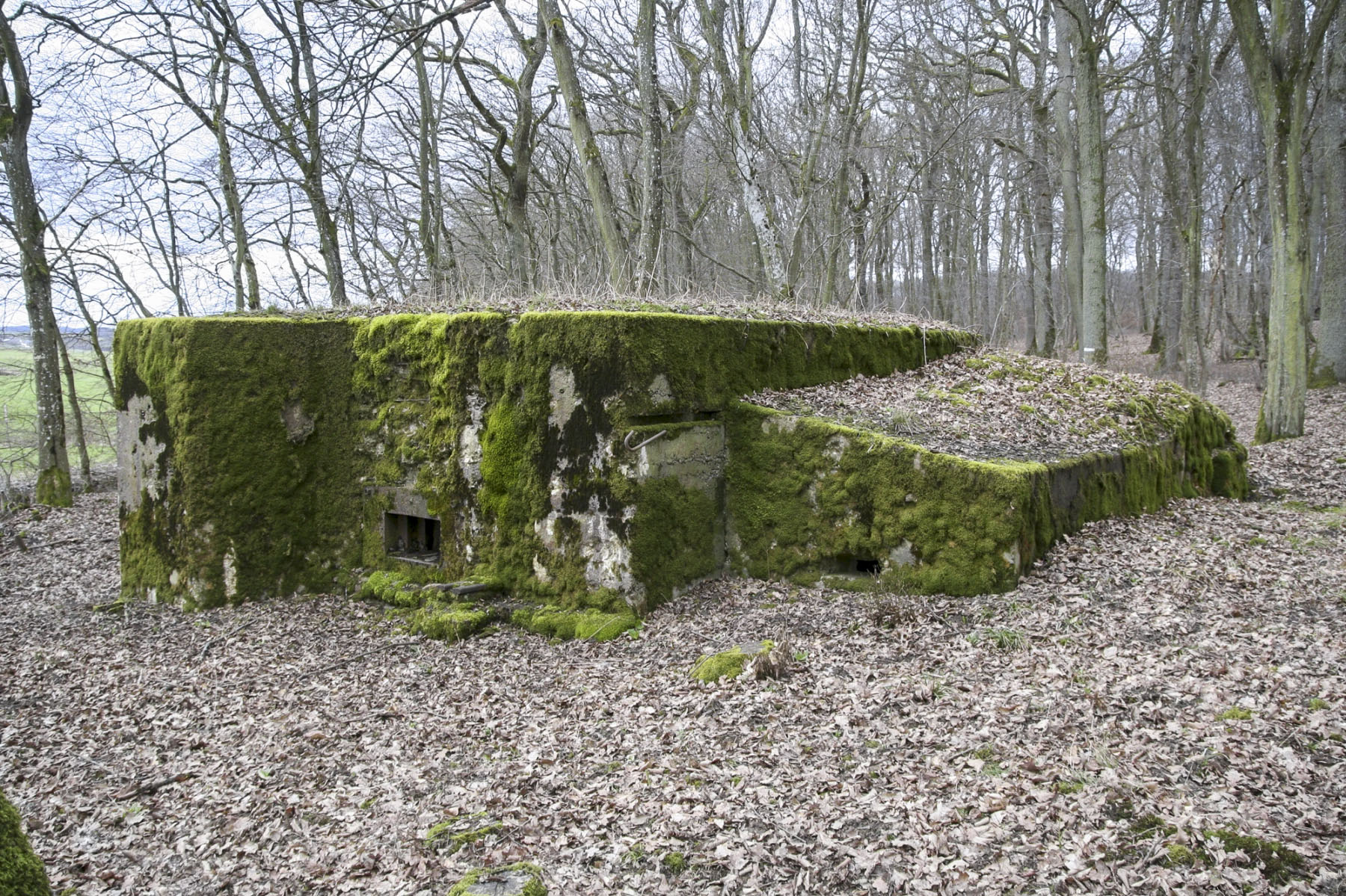 Ligne Maginot - CB225 - BOIS DE CATTENOM 03 - (Blockhaus pour arme infanterie) -  - Michel Teiten