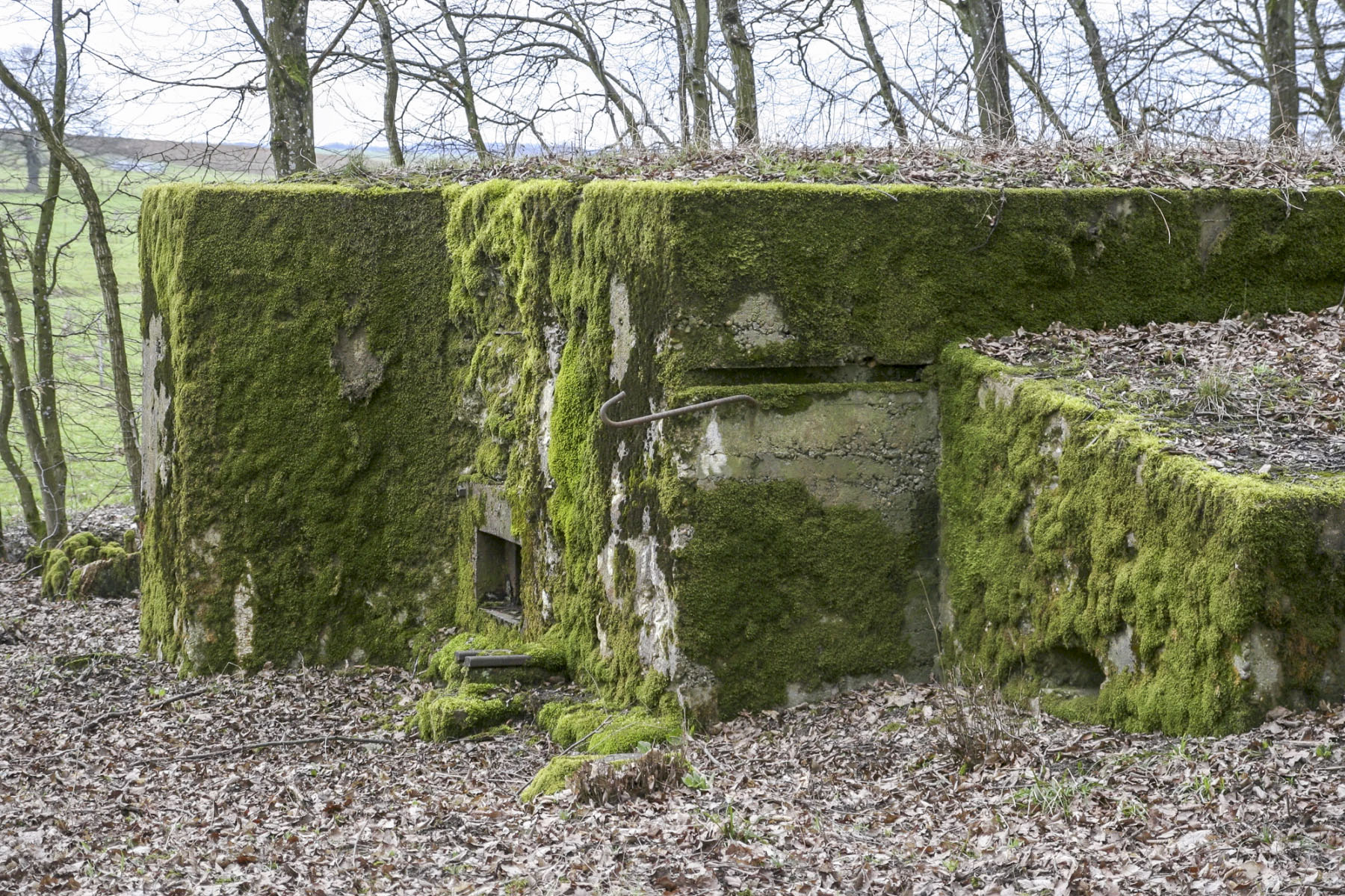 Ligne Maginot - CB225 - BOIS DE CATTENOM 03 - (Blockhaus pour arme infanterie) -  - Michel Teiten