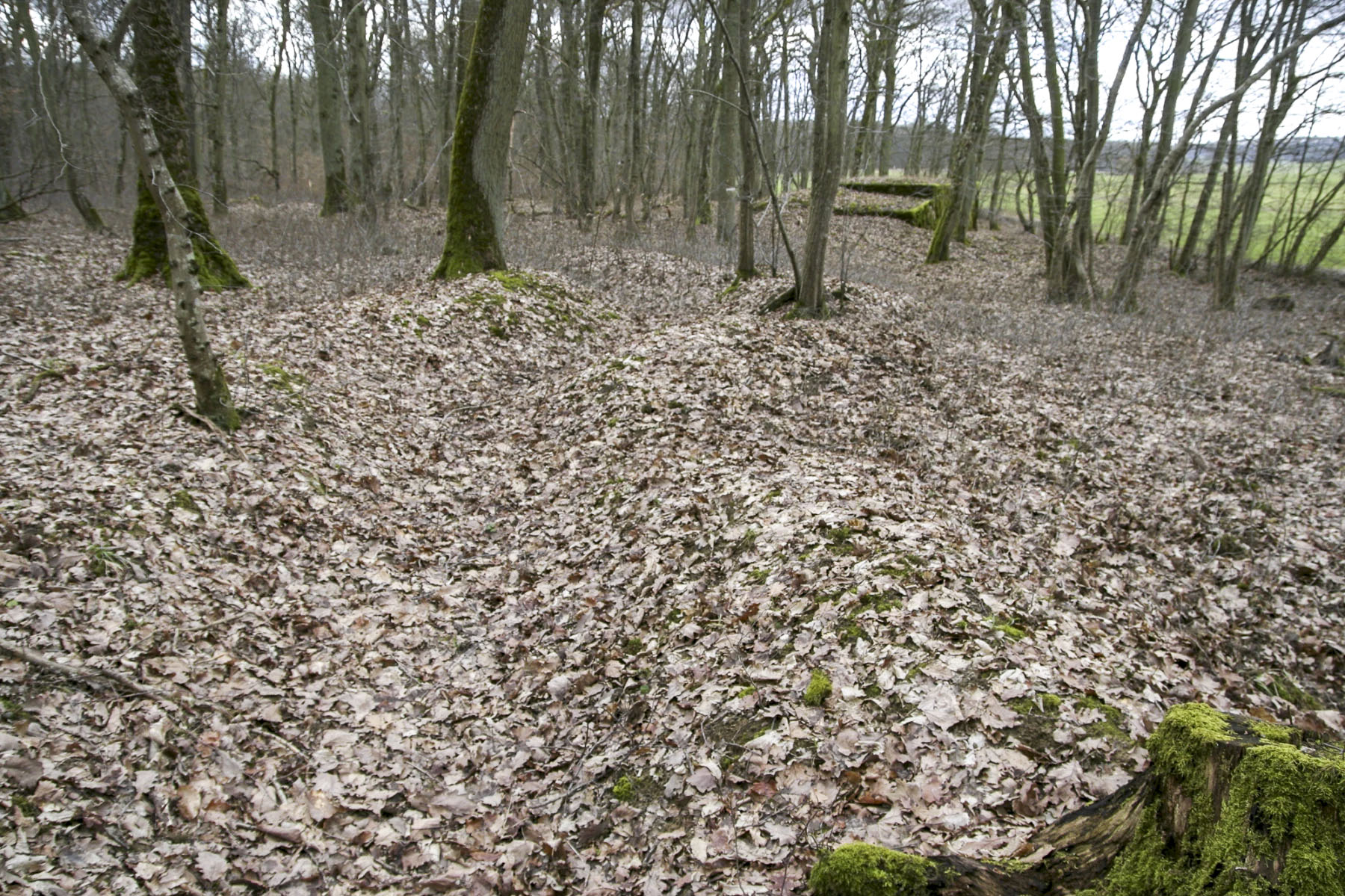 Ligne Maginot - CB225 - BOIS DE CATTENOM 03 - (Blockhaus pour arme infanterie) - Restes du boyau qui menait au bloc que l'on voit à l'arrière-plan - Michel Teiten