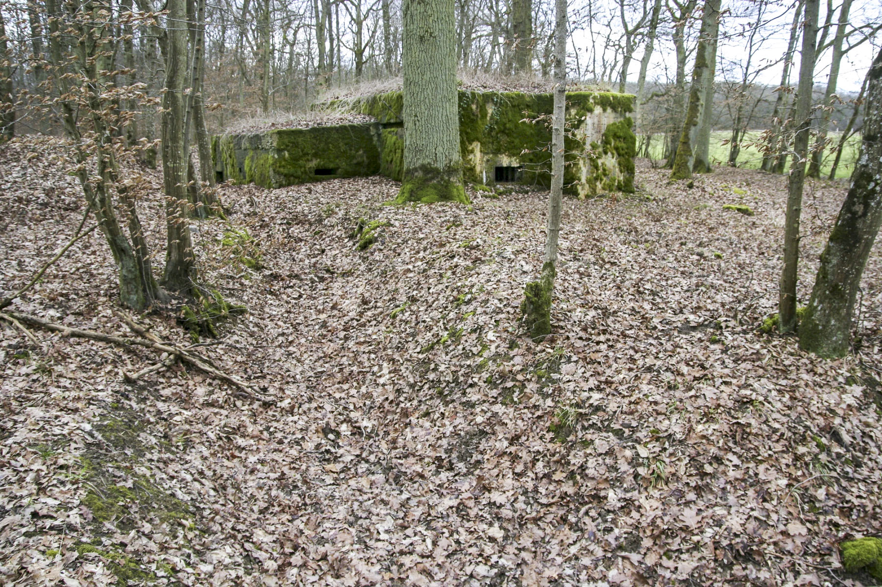Ligne Maginot - CB226 - BOIS DE CATTENOM 02 - (Blockhaus pour arme infanterie) - Restes de tranchée avant du bloc - Michel Teiten