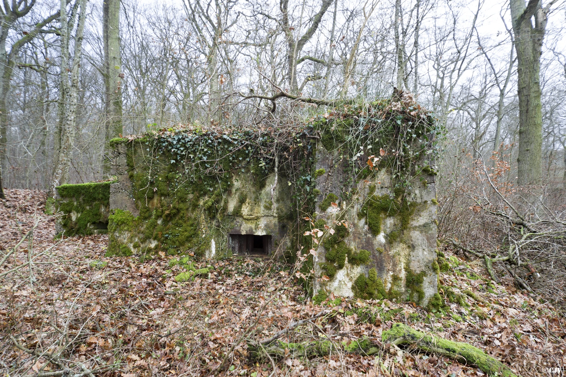 Ligne Maginot - CB226 - BOIS DE CATTENOM 02 - (Blockhaus pour arme infanterie) - Le blockhaus et son annexe - Lia VERMEULEN