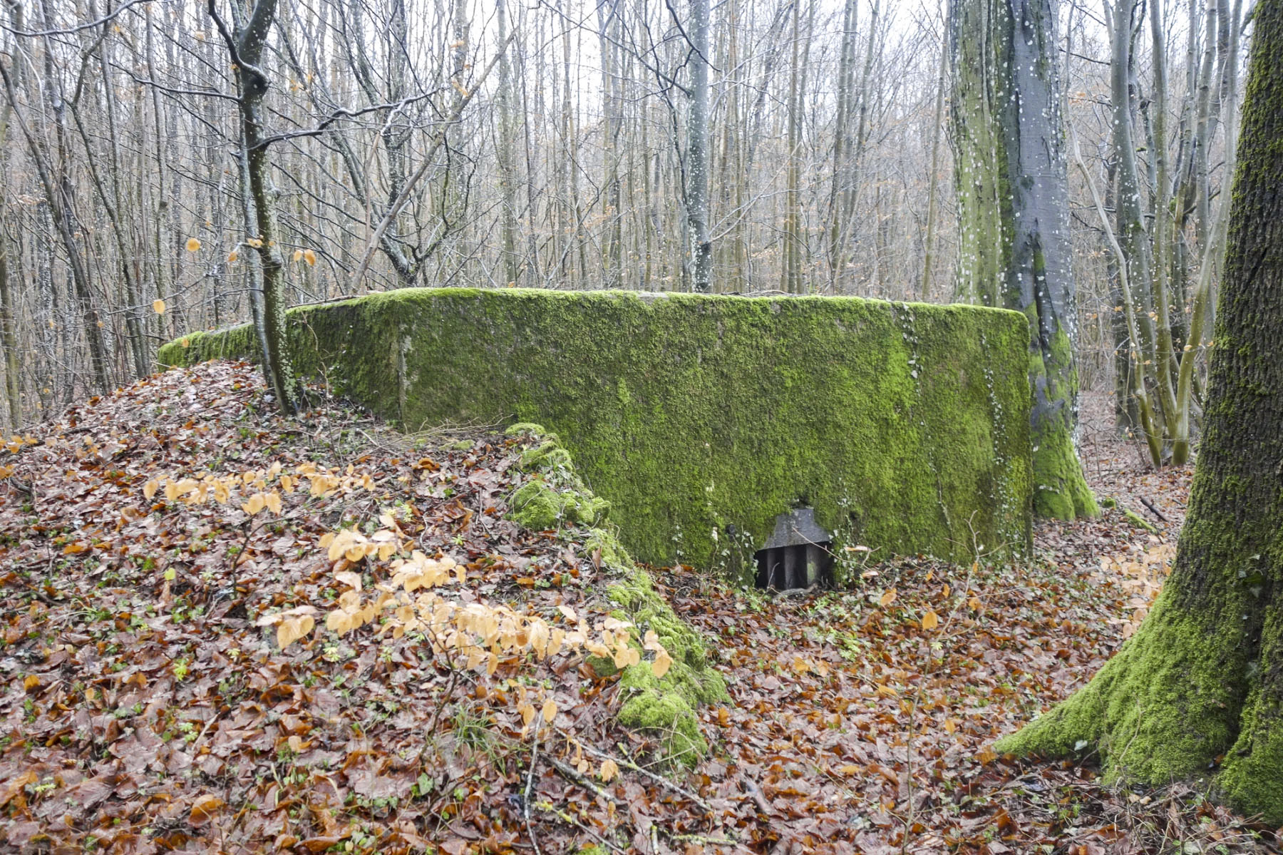 Ligne Maginot - CB332 - GINSKLOPP SUD - (Blockhaus pour arme infanterie) -  - Michel Teiten