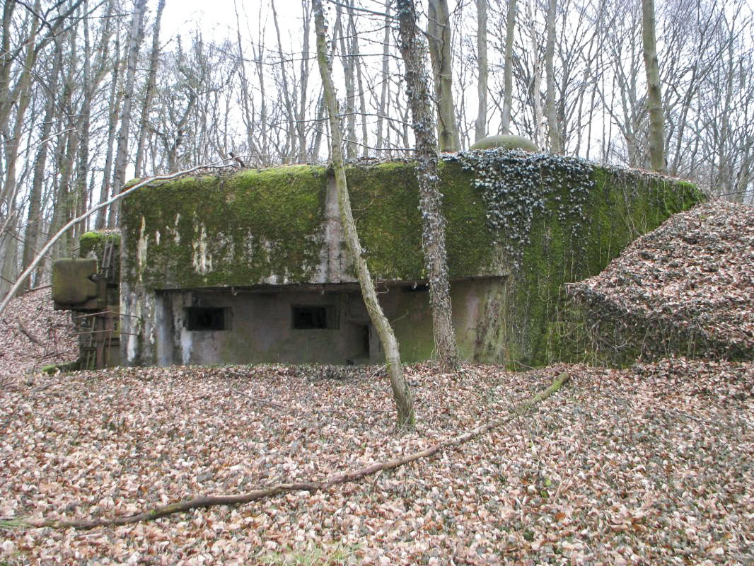 Ligne Maginot - HUBERBUSCH SUD - C59 - (Casemate d'infanterie) - 