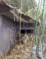 Ligne Maginot - ALGOLSHEIM - ABBATUCCI - (Blockhaus pour arme infanterie) - Créneau de flanquement nord-est