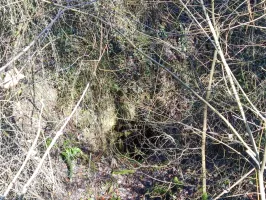 Ligne Maginot - CARRIERE DE LA FERME CHOPPEY (III/132° RIF) - (PC de Quartier) - L'entrée en puits Ouest