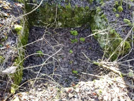 Ligne Maginot - CARRIERE DE LA FERME CHOPPEY (III/132° RIF) - (PC de Quartier) - Emplacement avec un entrée à droite donnant sur une tranchée