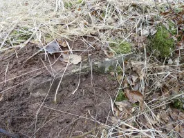 Ligne Maginot - WALDECK (8° BIE 60° RMAF) - (Position d'artillerie préparée) - A droite de la niche la plus à l'Est on distingue une structure remblayée. Une quatrième niche à munitions ?