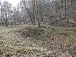 Ligne Maginot - KANDELBERG SUD - (Blockhaus pour arme infanterie) - La cuve vue depuis la route.