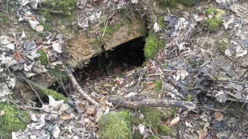 Ligne Maginot - SERROUVILLE (SOUS-SECTEUR AUMETZ - 128° RIF) - (PC de Sous-Secteur) - Abri de stockage 2