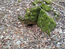 Ligne Maginot - SERROUVILLE (SOUS-SECTEUR AUMETZ - 128° RIF) - (PC de Sous-Secteur) - Mur et entrée à proximité
