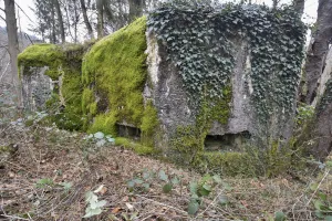 Ligne Maginot - DAMBACH EST - (Blockhaus pour arme infanterie) - 
