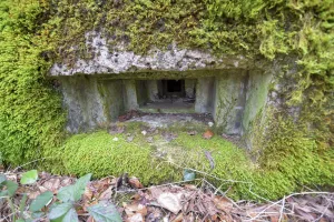 Ligne Maginot - DAMBACH EST - (Blockhaus pour arme infanterie) - 