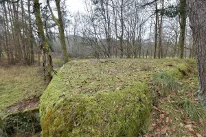 Ligne Maginot - DAMBACH EST - (Blockhaus pour arme infanterie) - 