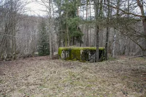 Ligne Maginot - DAMBACH EST - (Blockhaus pour arme infanterie) - 