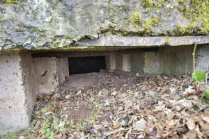 Ligne Maginot - HEILLINGEN DELL - (Blockhaus pour arme infanterie) - Le créneau coté extérieur