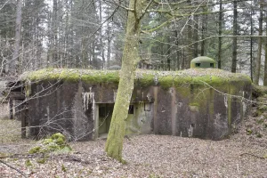 Ligne Maginot - WINECKERTHAL OUEST - (Casemate d'infanterie - Double) - 