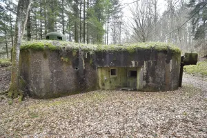 Ligne Maginot - WINECKERTHAL OUEST - (Casemate d'infanterie - Double) - 