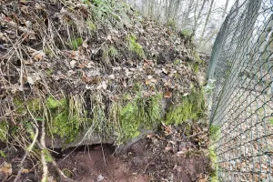 Ligne Maginot - LANGENACKER EST - (Blockhaus pour arme infanterie) - 