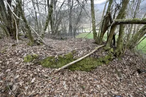 Ligne Maginot - LANGENACKER EST - (Blockhaus pour arme infanterie) - 