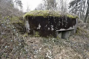 Ligne Maginot - LANGENACKER OUEST - (Blockhaus pour arme infanterie) - 