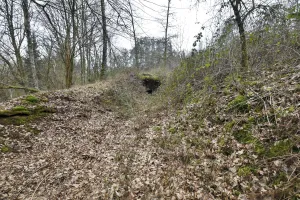 Ligne Maginot - LANGENACKER OUEST - (Blockhaus pour arme infanterie) - 