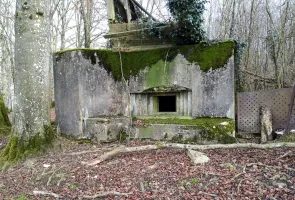 Ligne Maginot - DB342 - (Blockhaus pour arme infanterie) - 