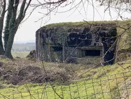 Ligne Maginot - DB47 - MB5 - ENTRE DEUX MONTS - (Blockhaus pour canon) - 