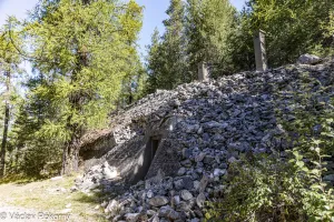 Ligne Maginot - LES SAGNES - (Abri) - 