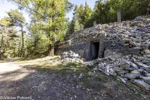 Ligne Maginot - LES SAGNES - (Abri) - 