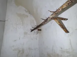 Ligne Maginot - FOUR A CHAUX - FAC - (Ouvrage d'artillerie) - Chambre froide