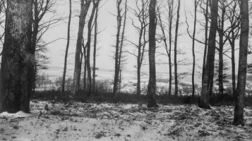 Ligne Maginot - BOUSSE - A24 - (Ouvrage d'infanterie) - Les dessus de l'ouvrage
Vue sur Edling et les avancées par -35 (hiver 1940)