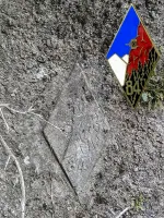 Ligne Maginot - VALABRES - (Blockhaus pour arme infanterie) - À droite de l'entrée
Cartouche dans le ciment, représentant l'insigne du 84° Bataillon Alpin de Forteresse.