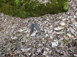 Ligne Maginot - GALGENBERG SUD - (Abri) - Les aménagements sur la crête signalés sur l'image LIDAR