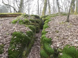 Ligne Maginot - GALGENBERG SUD - (Abri) - Les aménagements sur la crête signalés sur l'image LIDAR.
Un réseau de tranchées.