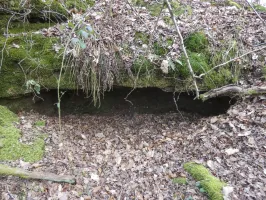 Ligne Maginot - GALGENBERG SUD - (Abri) - Les aménagements sur la crête signalés sur l'image LIDAR.
Un début de construction d'un abri ?