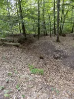 Ligne Maginot - HANAU 1 - (Blockhaus pour canon) - Tranchée d'accès, vue depuis le blockhaus