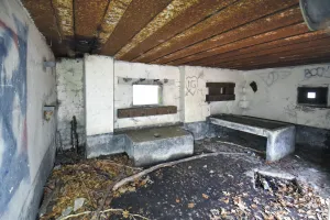 Ligne Maginot - HANAU 1 - (Blockhaus pour canon) - 