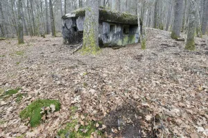 Ligne Maginot - HANAU 1 - (Blockhaus pour canon) - Ancrage pour le filet de camouflage 