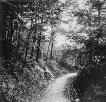 Ligne Maginot - BOIS DE LA COTE (169° RIF) - (PC de Sous-Secteur) - PC du Bois de la cote
Le sentier ou se trouvent les 3 alvéoles du PC artillerie (CE Laffont)
