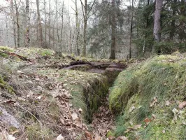 Ligne Maginot - ERBSENTHAL - (Cuve pour arme d'infanterie) - Tranchée d'accès taillée dans le grès