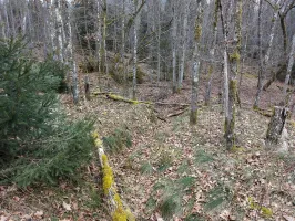 Ligne Maginot - ERBSENTHAL - (Cuve pour arme d'infanterie) - Tranchée vers le casernement et la casemate de Glasbronn