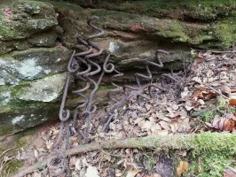 Ligne Maginot - HAUSBERG - (Abri) - Des piquets à barbelés 'queues de cochon'